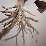 Orechova - Orech+ova 公寓 *