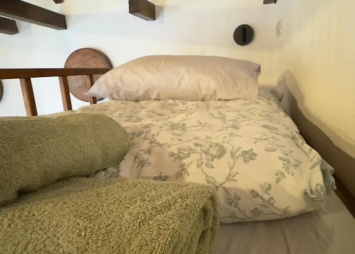 Orechova - Orech+ova